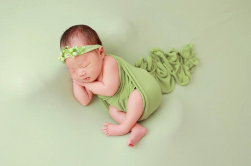 嘉鱼内蒙古助孕公司排名揭秘，谨防上当